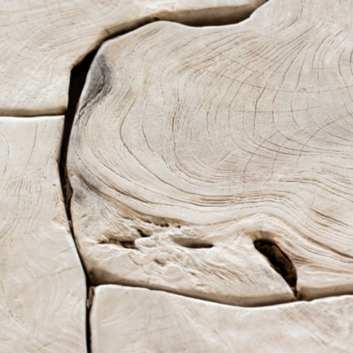 texture natural wood design